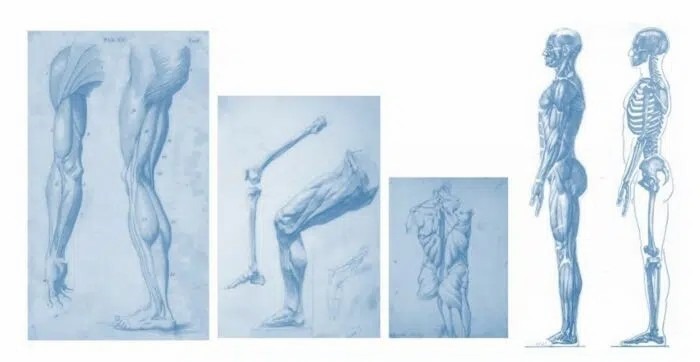 運動系統疾病如何治療？間充質干細胞的治療效果怎么樣？