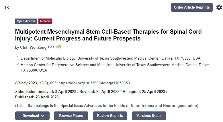 間充質干細胞治療脊髓損傷:目前的進展和未來的前景 間充質干細胞治療脊髓損傷:目前的進展和未來的前景