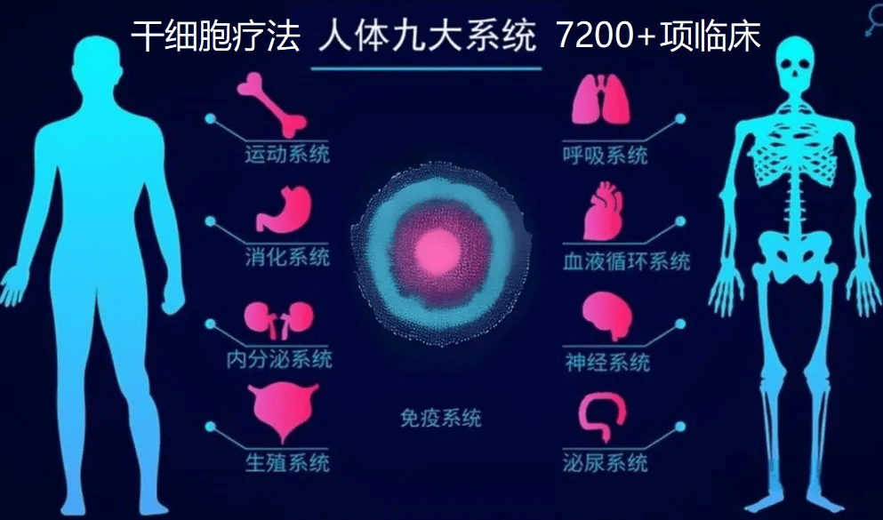 干細(xì)胞療法人體九大系統(tǒng)7200+項臨床 干細(xì)胞療法人體九大系統(tǒng)7200+項臨床