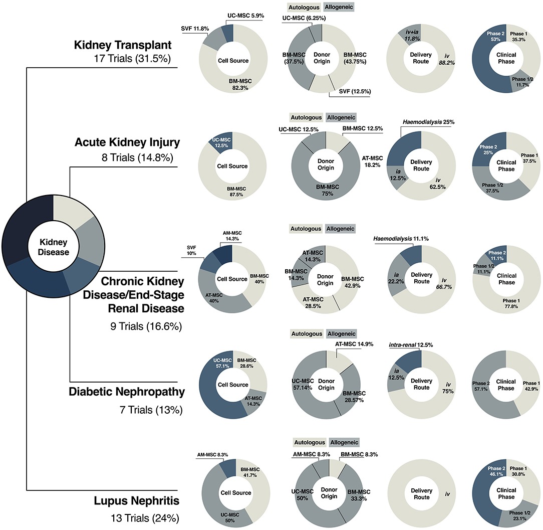 圖3:間充質干細胞療法在腎臟疾病中的臨床轉化 圖3:間充質干細胞療法在腎臟疾病中的臨床轉化