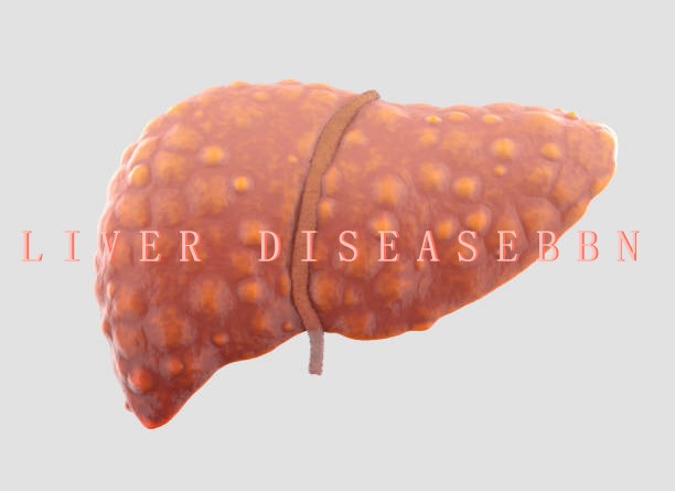 干細胞治療肝?。?021-2024年臨床研究進展回顧