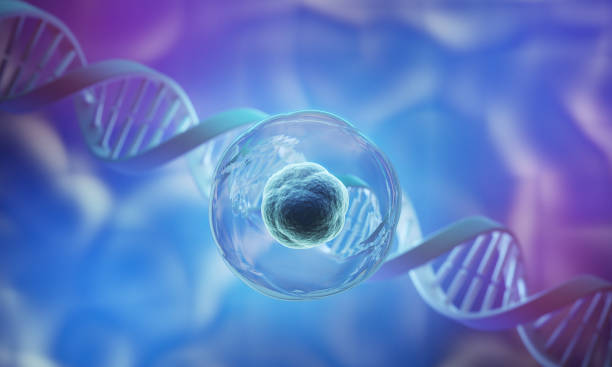 關于干細胞療法的5個誤解:科學是怎么說的 關于干細胞療法的5個誤解:科學是怎么說的