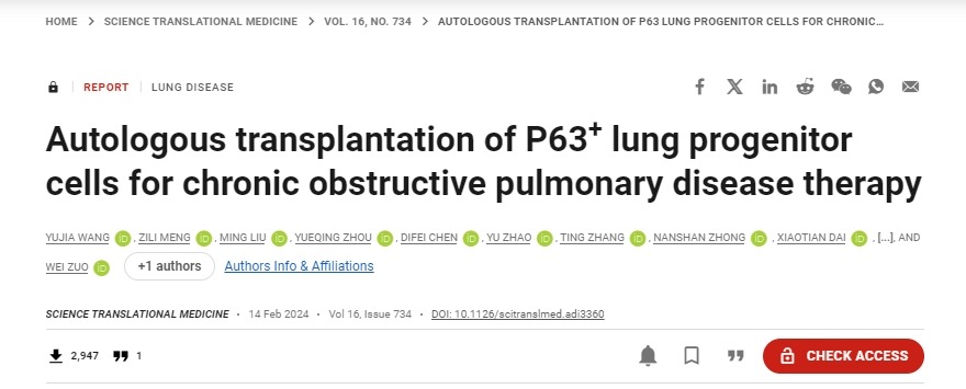 移植自體P63陽性肺前體細胞用于慢性阻塞性肺病的治療