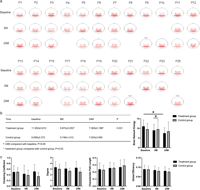 圖1:腦功能網(wǎng)絡(luò)分析 圖1:腦功能網(wǎng)絡(luò)分析