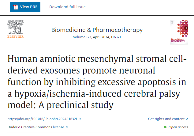 人羊膜間充質(zhì)干細(xì)胞來源的外泌體通過抑制缺氧/缺血誘導(dǎo)的腦癱模型中的過度細(xì)胞凋亡來促進(jìn)神經(jīng)元功能:一項臨床前研究 人羊膜間充質(zhì)干細(xì)胞來源的外泌體通過抑制缺氧/缺血誘導(dǎo)的腦癱模型中的過度細(xì)胞凋亡來促進(jìn)神經(jīng)元功能:一項臨床前研究