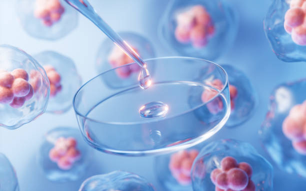 靜脈注射間充質干細胞是安全的嗎?一項包含2504名受試者的研究給出了答案!