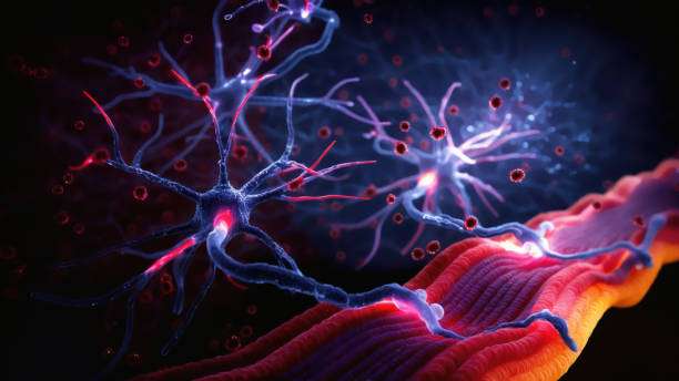 面對眾說紛紜的干細胞治療帕金森病,我們的期望是什么? 面對眾說紛紜的干細胞治療帕金森病,我們的期望是什么?