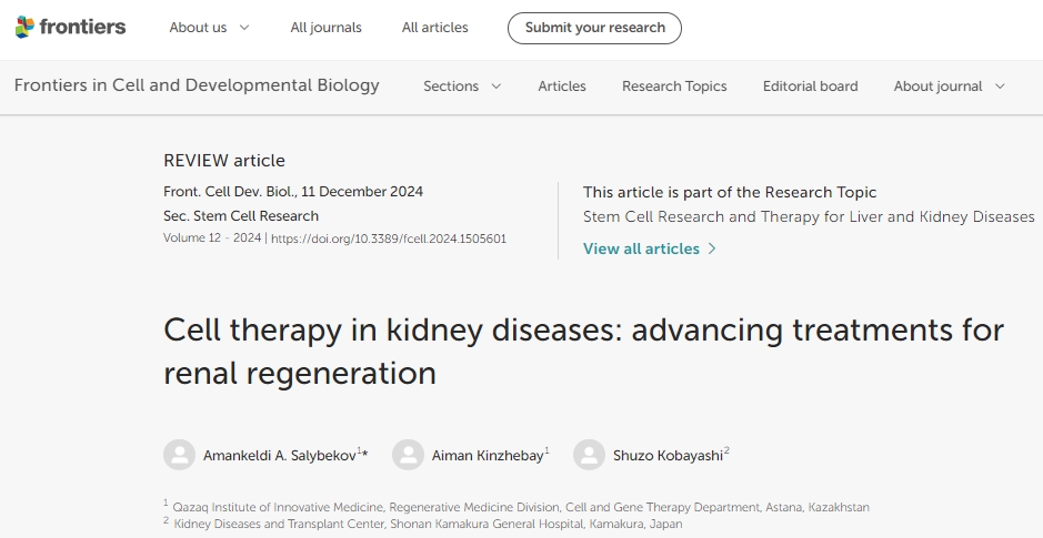 干細胞治療腎臟疾病:成為腎臟再生的先進治療方法