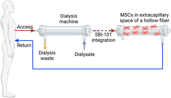 圖1:配備集成SBI-101系統的體外回路。 圖1:配備集成SBI-101系統的體外回路。