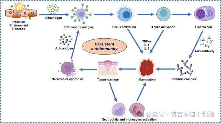 圖2:自身免疫性疾病的細胞和分子發病機制。 圖2:自身免疫性疾病的細胞和分子發病機制。