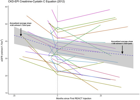圖1：eGFR（肌酐和胱抑素 C，2012CKD-EPI）對(duì)SRC注射的反應(yīng)。