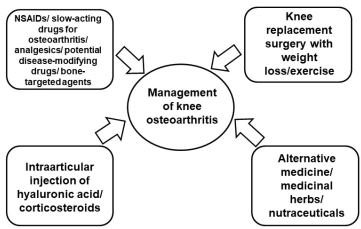 圖2:膝骨關(guān)節(jié)炎的當前治療策略。 圖2:膝骨關(guān)節(jié)炎的當前治療策略。
