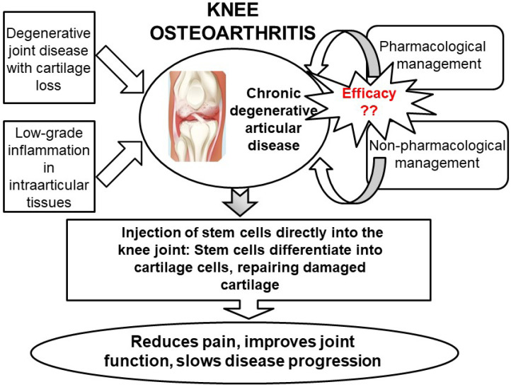 圖5:關(guān)節(jié)內(nèi)注射干細胞再生膝關(guān)節(jié)軟骨作為膝關(guān)節(jié)骨關(guān)節(jié)炎治療選擇的總結(jié)。 圖5:關(guān)節(jié)內(nèi)注射干細胞再生膝關(guān)節(jié)軟骨作為膝關(guān)節(jié)骨關(guān)節(jié)炎治療選擇的總結(jié)。