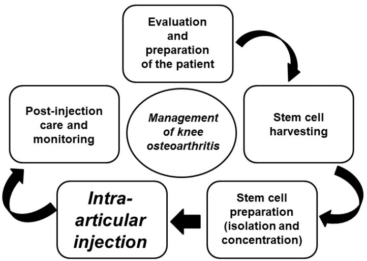 圖4:干細胞治療膝關(guān)節(jié)骨關(guān)節(jié)炎的過程 圖4:干細胞治療膝關(guān)節(jié)骨關(guān)節(jié)炎的過程