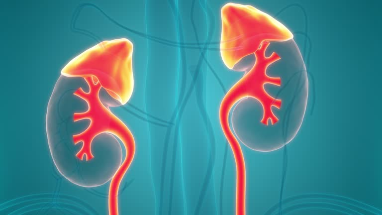 探索奇跡：干細胞療法如何改變腎病患者的身體狀況