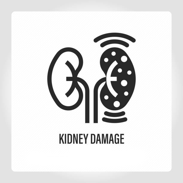 干細(xì)胞療法:扭轉(zhuǎn)腎病患者癥狀的關(guān)鍵力量 干細(xì)胞療法:扭轉(zhuǎn)腎病患者癥狀的關(guān)鍵力量