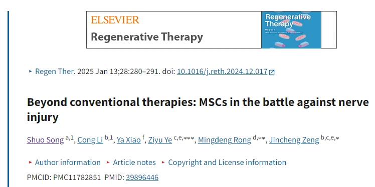 超越傳統(tǒng)療法:間充質(zhì)干細胞對抗神經(jīng)損傷