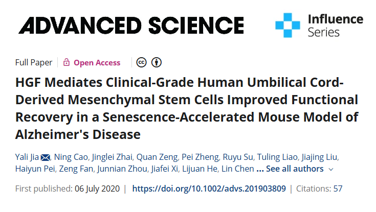 HGF 介導(dǎo)臨床級(jí)人臍帶間充質(zhì)干細(xì)胞改善阿爾茨海默病衰老加速小鼠模型的功能恢復(fù) HGF 介導(dǎo)臨床級(jí)人臍帶間充質(zhì)干細(xì)胞改善阿爾茨海默病衰老加速小鼠模型的功能恢復(fù)