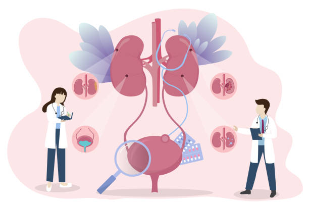 探索干細胞療法:真的能減少腎病患者的透析頻率嗎? 探索干細胞療法:真的能減少腎病患者的透析頻率嗎?