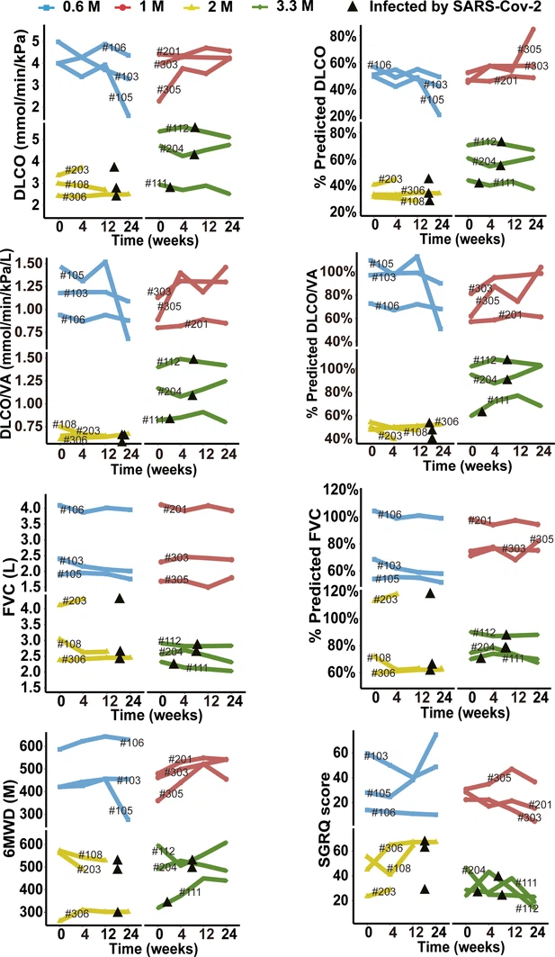 圖3-圖補(bǔ)充1:細(xì)胞治療后不同時間點(diǎn)預(yù)測DLCO%、DLCO、預(yù)測DLCO/VA%、DLCO/VA、預(yù)測FVC%、FVC、6MWD及SGRQ評分的變化。 圖3-圖補(bǔ)充1:細(xì)胞治療后不同時間點(diǎn)預(yù)測DLCO%、DLCO、預(yù)測DLCO/VA%、DLCO/VA、預(yù)測FVC%、FVC、6MWD及SGRQ評分的變化。