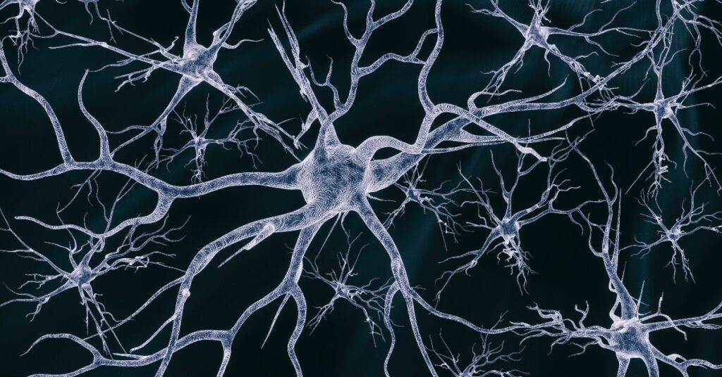 神經(jīng)干細(xì)胞移植在神經(jīng)退行性疾病治療和藥物開(kāi)發(fā)中的作用 神經(jīng)干細(xì)胞移植在神經(jīng)退行性疾病治療和藥物開(kāi)發(fā)中的作用