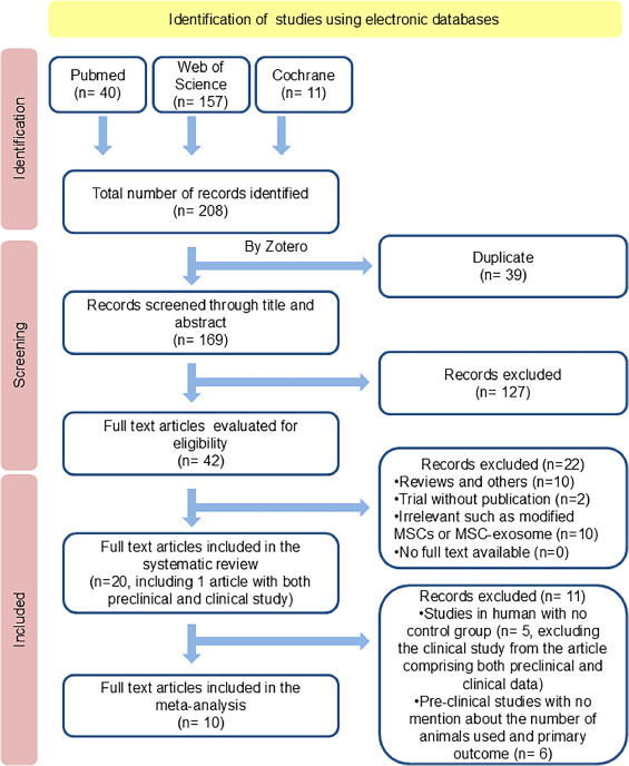 圖1：系統評價和薈萃分析的首選報告項目 (PRISMA) 研究篩選和選擇流程圖。