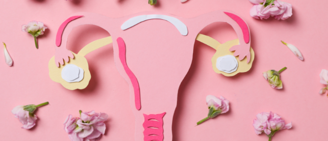 干細胞治療卵巢早衰:如何實現短期卵巢功能改善到長期卵巢組織的恢復? 干細胞治療卵巢早衰:如何實現短期卵巢功能改善到長期卵巢組織的恢復?