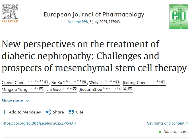糖尿病腎病治療的新視角:間充質干細胞治療的挑戰與前景 糖尿病腎病治療的新視角:間充質干細胞治療的挑戰與前景