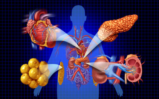 新視角:優化間充質干細胞治療糖尿病腎病療效的方式有哪些? 新視角:優化間充質干細胞治療糖尿病腎病療效的方式有哪些?