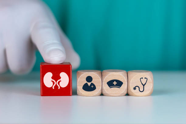 干細胞治療腎病的短期安全性:機制與臨床證據(jù) 干細胞治療腎病的短期安全性:機制與臨床證據(jù)