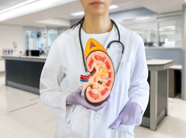 哪些腎病患者適合嘗試干細(xì)胞治療？覆蓋急性、慢性及免疫相關(guān)腎病