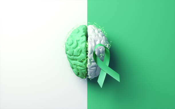 干細胞治療腦癱的注意事項+禁忌人群有哪些?這4類患者需謹慎! 干細胞治療腦癱的注意事項+禁忌人群有哪些?這4類患者需謹慎!