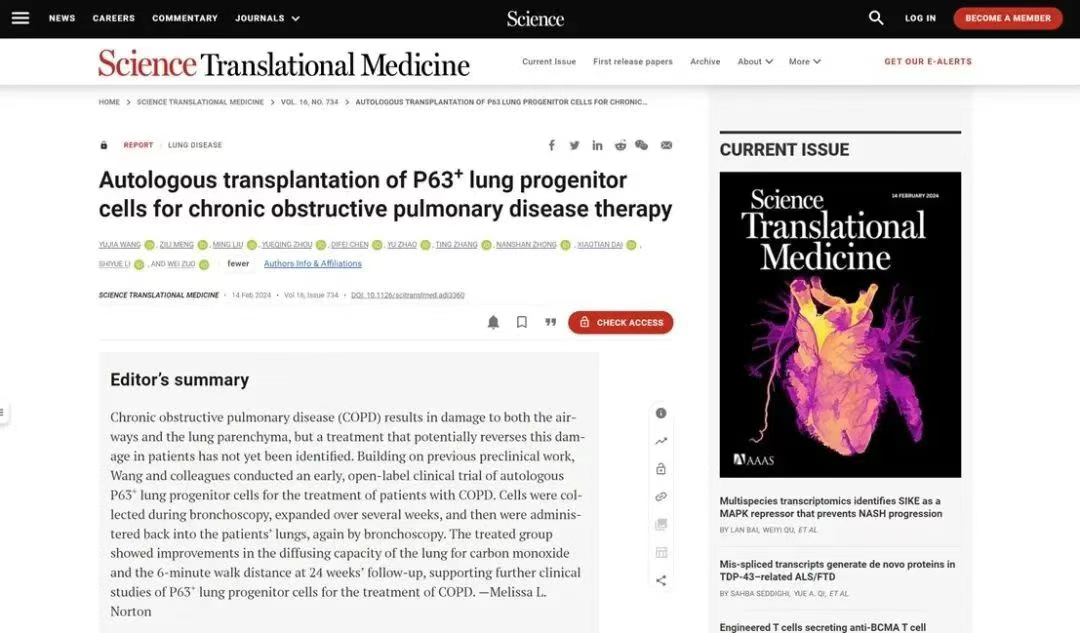 移植自體P63陽性肺前體細胞用于慢性阻塞性肺病的治療 移植自體P63陽性肺前體細胞用于慢性阻塞性肺病的治療