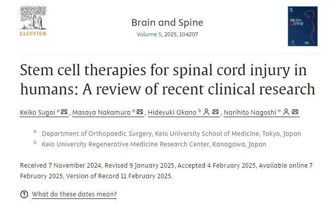 人類(lèi)脊髓損傷的干細(xì)胞療法：近期臨床研究進(jìn)展與轉(zhuǎn)化路徑分析