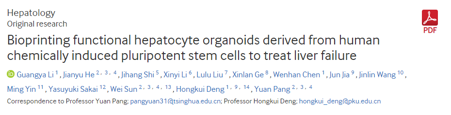 生物打印源自人類化學(xué)誘導(dǎo)多能干細(xì)胞的功能性肝細(xì)胞類器官以治療肝功能衰竭