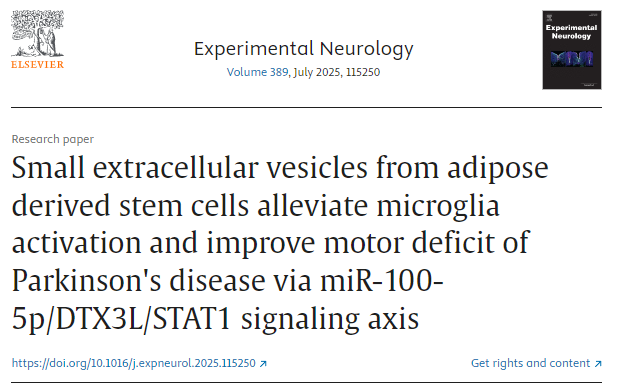 脂肪來源干細胞的小細胞外囊泡通過 miR-100-5p/DTX3L/STAT1 信號軸減輕小膠質細胞活化并改善帕金森病的運動障礙 脂肪來源干細胞的小細胞外囊泡通過 miR-100-5p/DTX3L/STAT1 信號軸減輕小膠質細胞活化并改善帕金森病的運動障礙