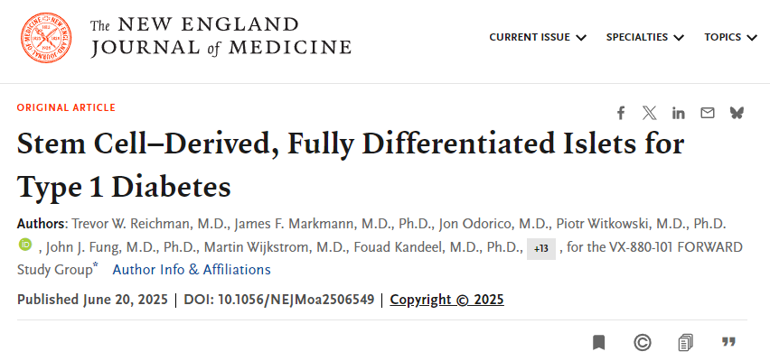 干細胞衍生的完全分化胰島用于治療1型糖尿病