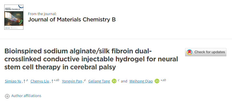 用于腦癱神經干細胞治療的仿生海藻酸鈉/絲素蛋白雙交聯導電注射水凝膠