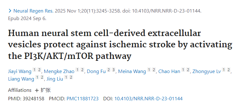 人類神經干細胞來源的細胞外囊泡通過激活PI3K/AKT/mTOR通路發揮抗缺血性卒中的保護作用 人類神經干細胞來源的細胞外囊泡通過激活PI3K/AKT/mTOR通路發揮抗缺血性卒中的保護作用