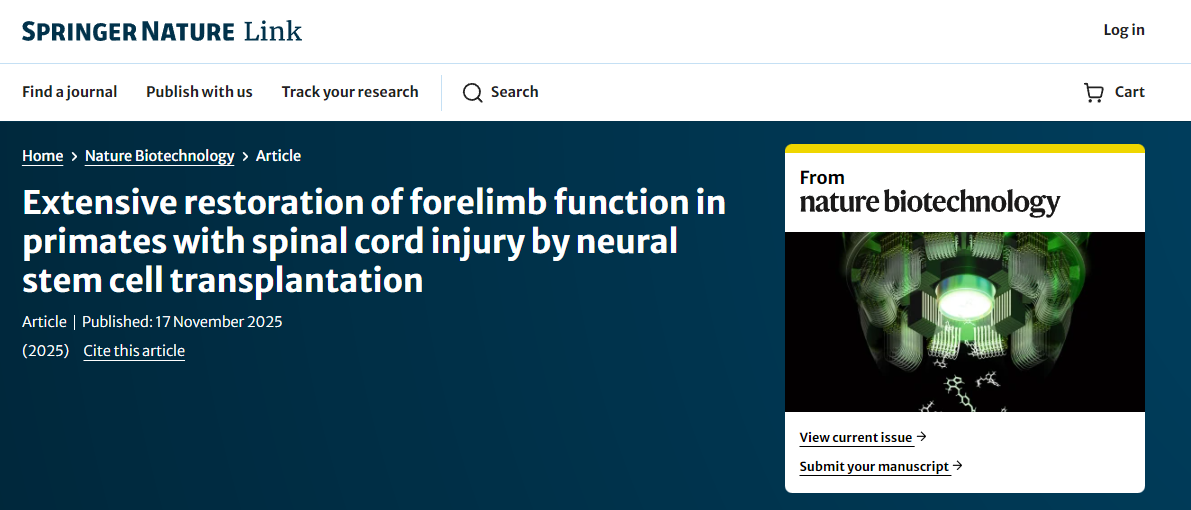 通過神經干細胞移植，靈長類動物脊髓損傷后前肢功能得到廣泛恢復