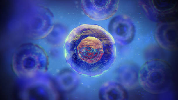 間充質(zhì)干細胞一針多少錢?2025年價格全景圖與避坑指南 間充質(zhì)干細胞一針多少錢?2025年價格全景圖與避坑指南