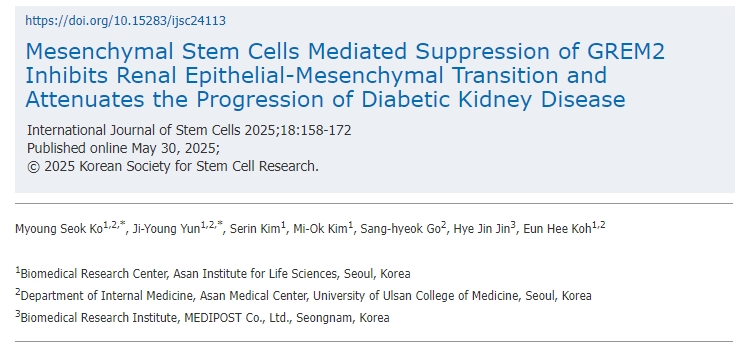 間充質干細胞介導的GREM2抑制可抑制腎臟上皮-間充質轉化并減緩糖尿病腎病的進展 間充質干細胞介導的GREM2抑制可抑制腎臟上皮-間充質轉化并減緩糖尿病腎病的進展