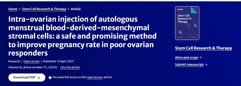 卵巢內(nèi)注射自體月經(jīng)血來源的間充質(zhì)基質(zhì)細(xì)胞:一種安全且有前景的提高卵巢反應(yīng)不佳者妊娠率的方法 卵巢內(nèi)注射自體月經(jīng)血來源的間充質(zhì)基質(zhì)細(xì)胞:一種安全且有前景的提高卵巢反應(yīng)不佳者妊娠率的方法