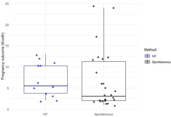 干細(xì)胞注射后每月的妊娠結(jié)局分布 干細(xì)胞注射后每月的妊娠結(jié)局分布