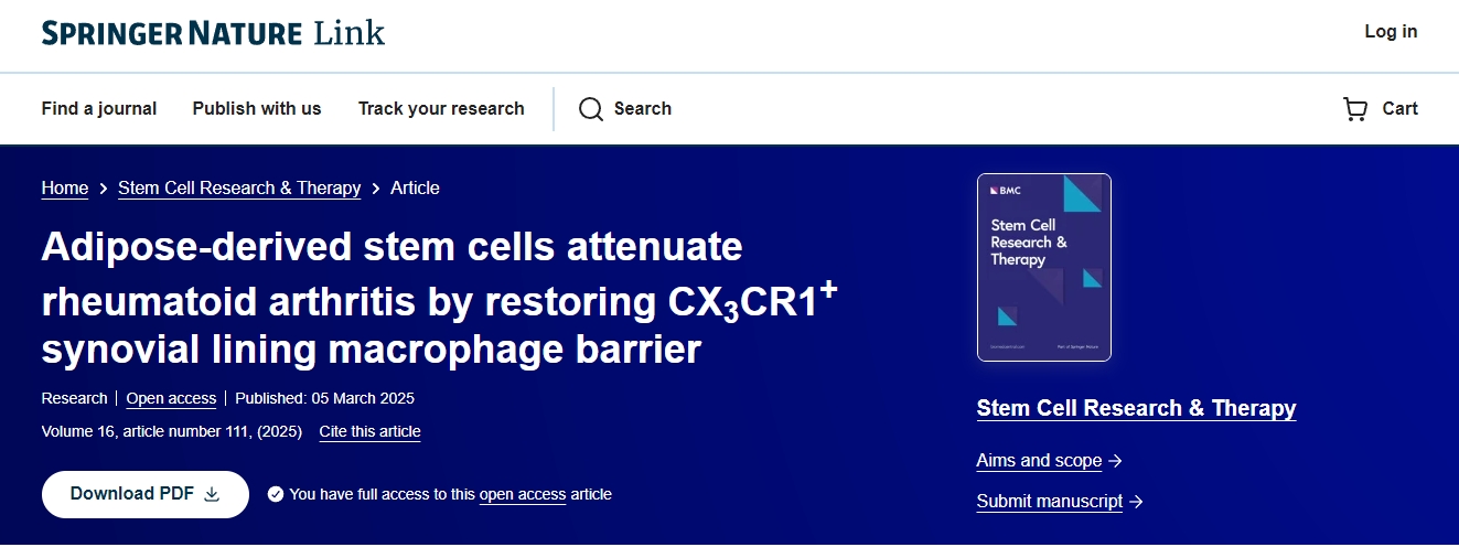 脂肪干細胞通過恢復 CX3CR1+滑膜內層巨噬細胞屏障減輕類風濕性關節炎