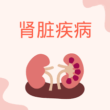 干細胞治療腎病:什么時候進入臨床? 干細胞治療腎病:什么時候進入臨床?