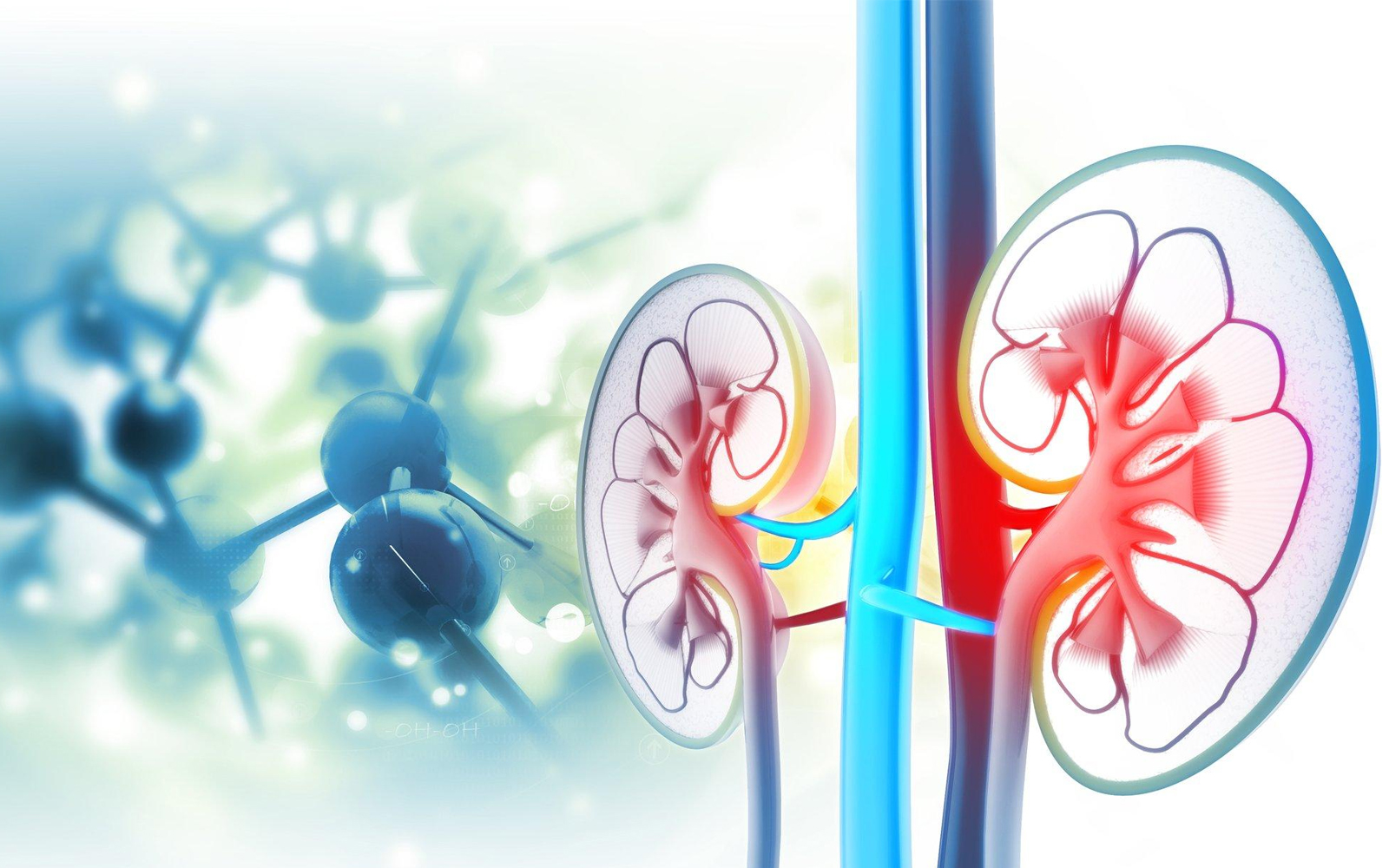 REGEND003：全球首款腎干細(xì)胞治療慢性腎病獲批臨床試驗(yàn)