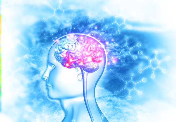 腦出血治療新希望:間充質干細胞治療臨床安全有效?最新證據來了 腦出血治療新希望:間充質干細胞治療臨床安全有效?最新證據來了