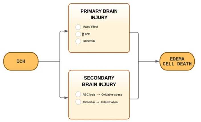 圖1:ICH病理生理學。 圖1:ICH病理生理學。