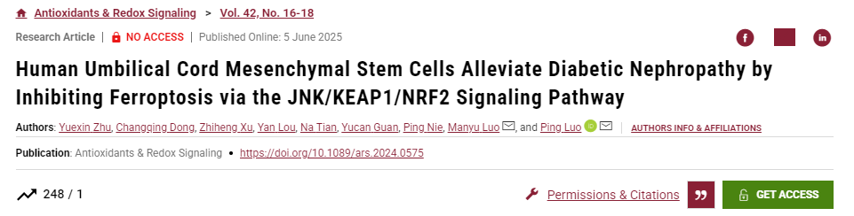 人臍帶間充質干細胞通過JNK/KEAP1/NRF2信號通路抑制鐵死亡緩解糖尿病腎病 人臍帶間充質干細胞通過JNK/KEAP1/NRF2信號通路抑制鐵死亡緩解糖尿病腎病